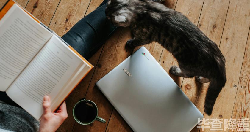 毕查降论文降重,毕查降论文改重,毕查降论文重复度一键降低