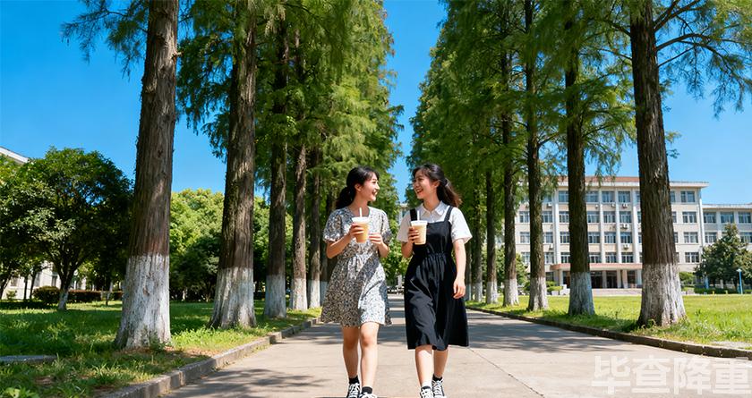 毕查降论文降重,毕查降论文改重,毕查降论文重复度一键降低