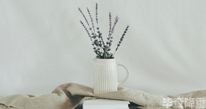 毕查降论文降重,毕查降论文改重,毕查降论文重复度一键降低