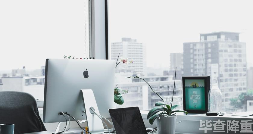 毕查降论文降重，毕查降论文改重，毕查降论文重复度一键降低