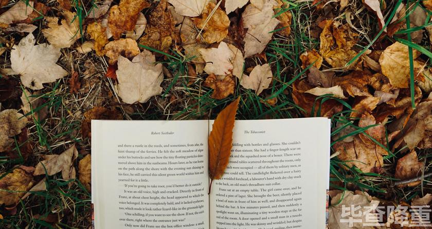 毕查降论文降重,毕查降论文改重,毕查降论文重复度一键降低